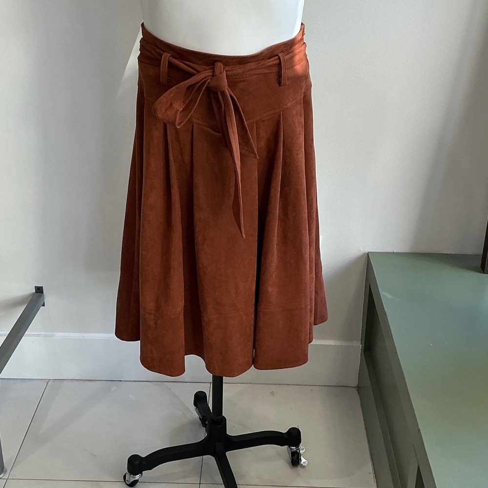 Anthropologie Terracotta A-Line Skirt - 12 (991)